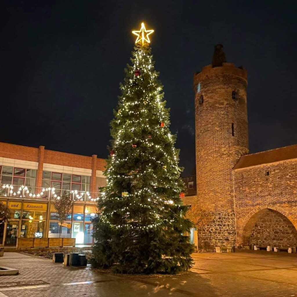 Weihnachtsbaum am Bernauer Stadttor 2022